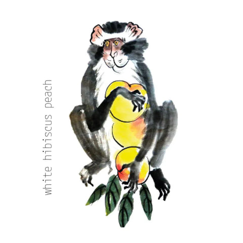 Monkey Chief Tea bij KNUS