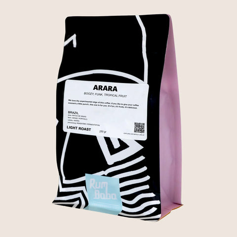 Rumbaba - Brazil Arara