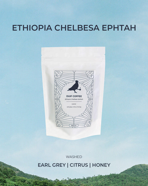 Ethiopia Chelbesa Washed
