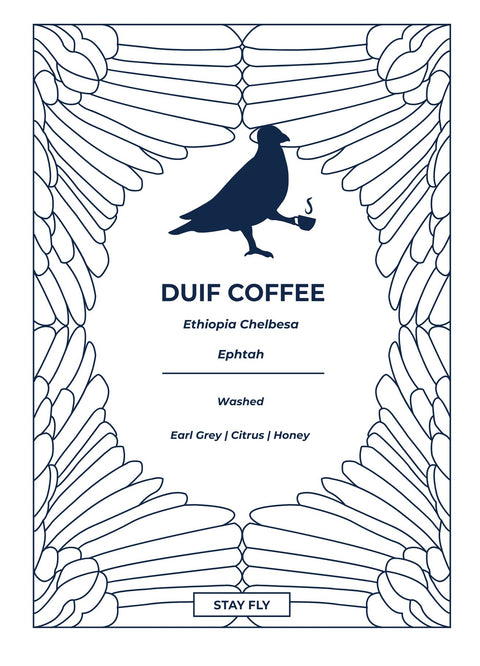 Ethiopia Chelbesa Washed
